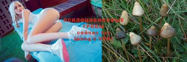 мяу мяу мука Нефтекумск