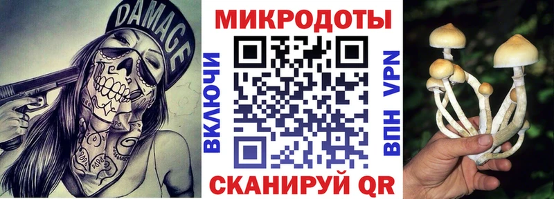 Псилоцибиновые грибы Magic Shrooms  закладка  Короча 